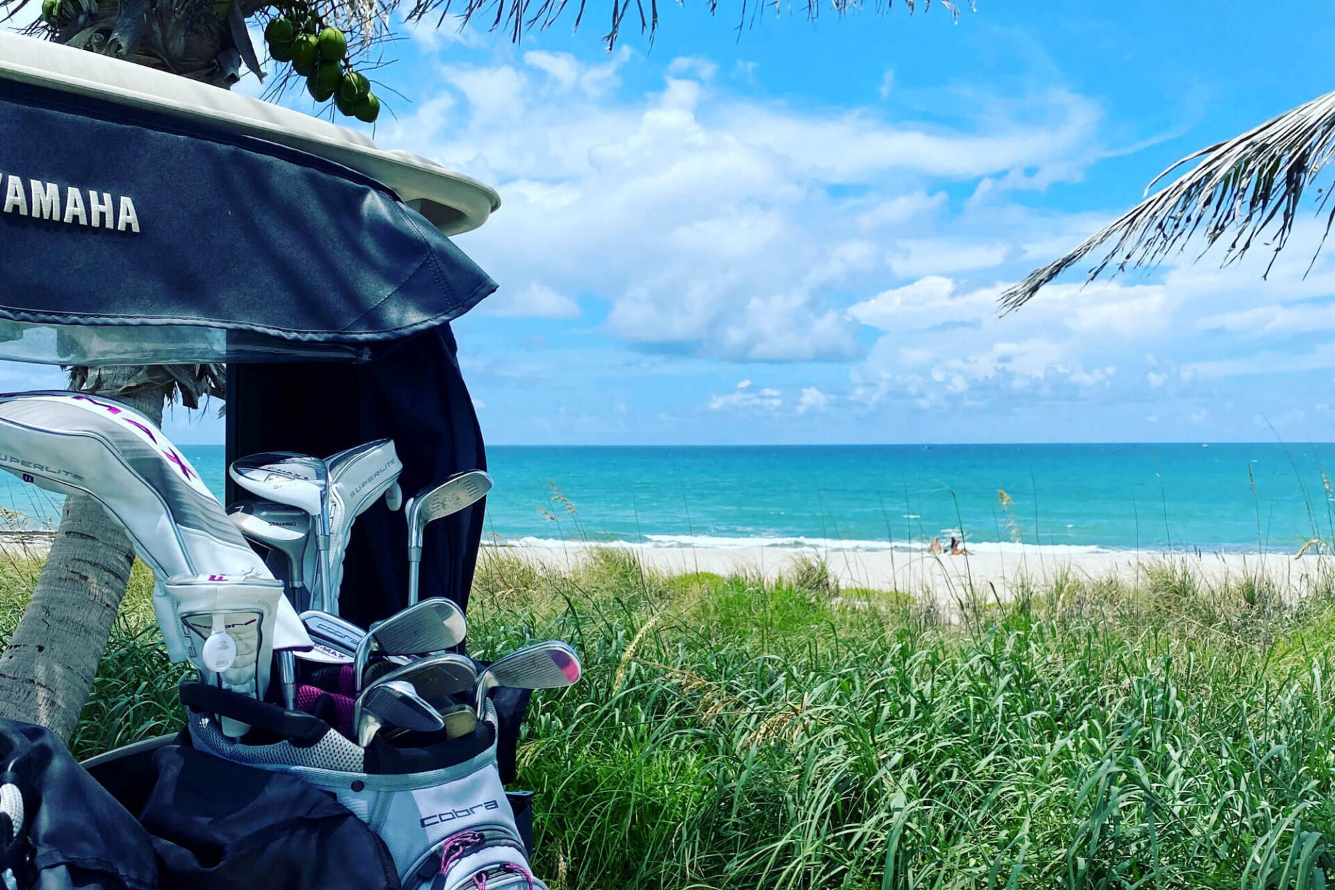 Babette Board photo of golf cart on the beach